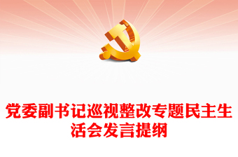 黨委副書記巡視整改專題民主生活會發(fā)言提綱