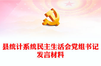 縣統計系統民主生活會黨組書記發言材料