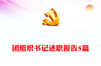 團組織書記述職報告5篇