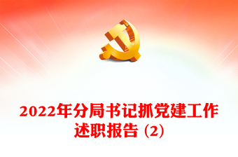 2022年分局書記抓黨建工作述職報(bào)告 (2)