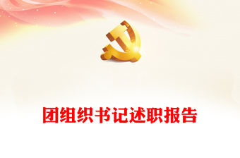 團組織書記述職報告