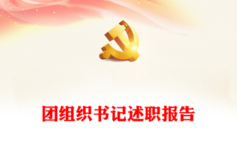 團(tuán)組織書記述職報(bào)告