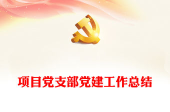 項目黨支部黨建工作總結(jié)