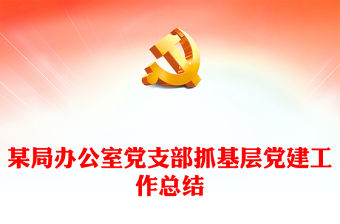 某局辦公室黨支部抓基層黨建工作總結(jié)