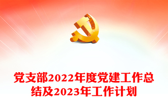 2023年党支部党建工作总结
