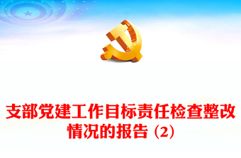 支部黨建工作目標(biāo)責(zé)任檢查整改情況的報(bào)告 (2)