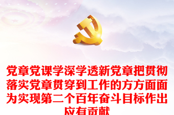 黨章黨課學(xué)深學(xué)透新黨章把貫徹落實(shí)黨章貫穿到工作的方方面面為實(shí)現(xiàn)第二個(gè)百年奮斗目標(biāo)作出應(yīng)有貢獻(xiàn)