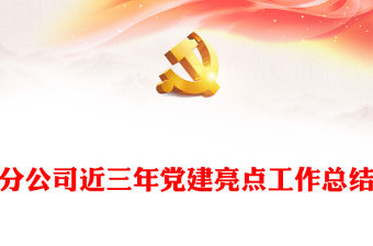 分公司近三年黨建亮點(diǎn)工作總結(jié)