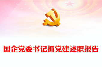 國企黨委書記抓黨建述職報告