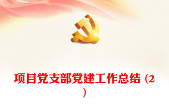 項目黨支部黨建工作總結(jié) (2)