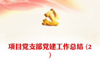 項(xiàng)目黨支部黨建工作總結(jié) (2)