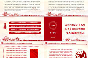 2023新時代黨的青年工作的根本遵循PPT大氣黨建風深入學習貫徹習近平總書記關于青年工作的重要思想專題黨課課件