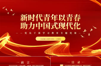 2023新時代青年以青春助力中國式現代化PPT精美黨政風學習宣傳貫徹黨的二十大精神專題黨課黨建課件
