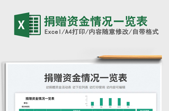 2023捐贈資金情況一覽表免費下載