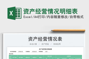 資產經營情況明細表免費下載