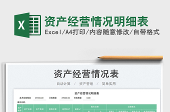 資產(chǎn)經(jīng)營情況明細(xì)表免費(fèi)下載