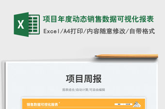 項目年度動態銷售數據可視化報表免費下載