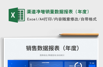 渠道凈增銷量數(shù)據(jù)報(bào)表（年度）免費(fèi)下載