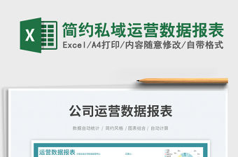 簡約私域運營數據報表免費下載