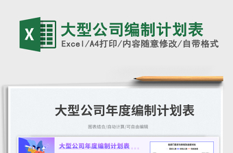 大型公司編制計(jì)劃表免費(fèi)下載
