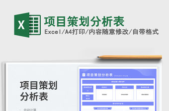 項(xiàng)目策劃分析表免費(fèi)下載
