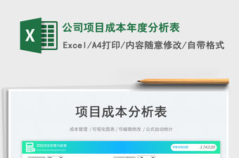 公司項目成本年度分析表免費下載