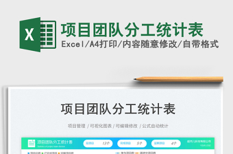 項目團(tuán)隊分工統(tǒng)計表免費下載