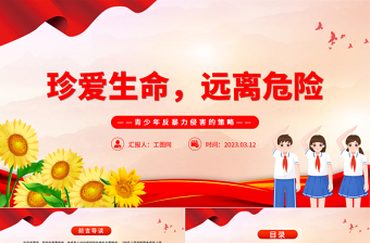 2023珍愛(ài)生命遠(yuǎn)離危險(xiǎn)PPT中小學(xué)生青少年反暴力侵害的策略主題班會(huì)課件