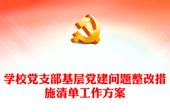 學(xué)校黨支部基層黨建問題整改措施清單工作方案