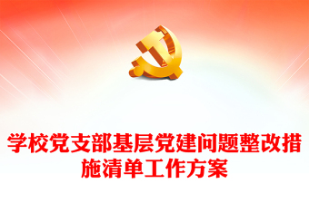 學(xué)校黨支部基層黨建問題整改措施清單工作方案