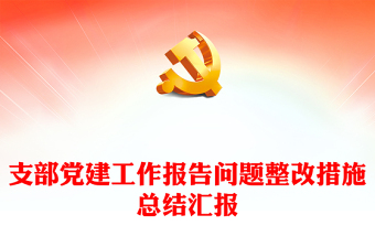 支部黨建工作報(bào)告問(wèn)題整改措施總結(jié)匯報(bào)