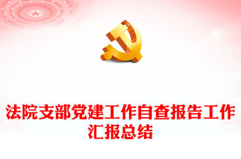 法院支部黨建工作自查報告工作匯報總結