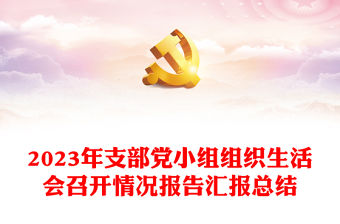 2023年支部黨小組組織生活會召開情況報告匯報總結