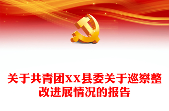 關(guān)于共青團(tuán)XX縣委關(guān)于巡察整改進(jìn)展情況的報告