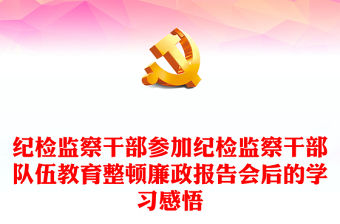 紀檢監察干部參加紀檢監察干部隊伍教育整頓廉政報告會后的學習感悟