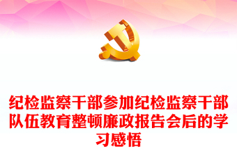 紀(jì)檢監(jiān)察干部參加紀(jì)檢監(jiān)察干部隊伍教育整頓廉政報告會后的學(xué)習(xí)感悟