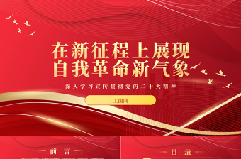 2023在新征程上展現(xiàn)自我革命新氣象PPT大氣黨政風(fēng)深入學(xué)習(xí)宣傳貫徹黨的二十大精神專題黨課課件