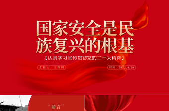 2023国家安全是民族复兴的根基PPT党建风认真学习宣传贯彻党的二十大精神专题党课课件