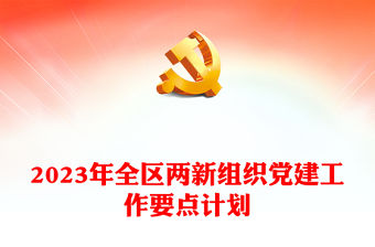 2023年全區兩新組織黨建工作要點計劃