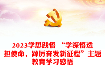 2023學(xué)思踐悟 “學(xué)深悟透擔(dān)使命，踔厲奮發(fā)新征程”主題教育學(xué)習(xí)感悟