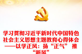 學習貫徹習近平新時代中國特色社會主義思想主題教育心得體會——以學正風：揚“正氣” 推“新風”