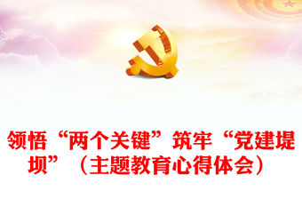 領(lǐng)悟“兩個關(guān)鍵”筑牢“黨建堤壩”（主題教育心得體會）