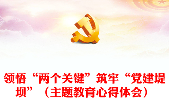 領(lǐng)悟“兩個(gè)關(guān)鍵”筑牢“黨建堤壩”（主題教育心得體會(huì)）