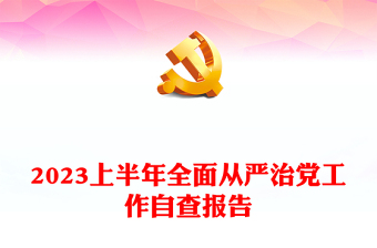 2023上半年全面從嚴治黨工作自查報告