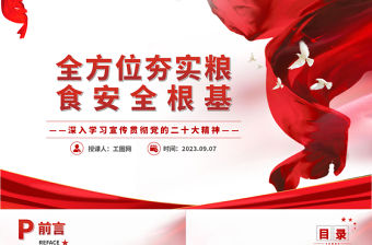 2023全方位夯實糧食安全根基PPT大氣黨建風深入學習宣傳貫徹黨的二十大精神主題專題黨課課件