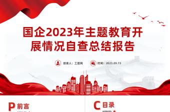 國企2023年主題教育開展情況自查總結(jié)報告PPT模板