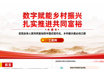 數字賦能鄉村振興PPT以數字鄉村建設扎實推進共同富裕課件