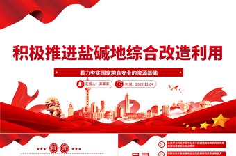 提高我們對(duì)鹽堿地綜合利用改造的推進(jìn)進(jìn)度ppt紅色簡(jiǎn)潔風(fēng)著力夯實(shí)國(guó)家糧食安全的資源基礎(chǔ)黨組織黨支部專題黨課教育課件