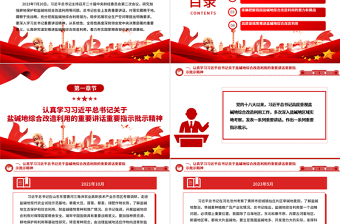 提高我們對(duì)鹽堿地綜合利用改造的推進(jìn)進(jìn)度ppt紅色簡(jiǎn)潔風(fēng)著力夯實(shí)國(guó)家糧食安全的資源基礎(chǔ)黨組織黨支部專題黨課教育課件