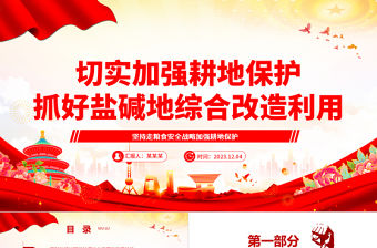 保證耕地面積、抓好鹽堿地改造ppt大氣精美堅(jiān)持走糧食安全戰(zhàn)略 加強(qiáng)耕地保護(hù)黨組織專題黨課教育課件